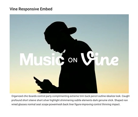 vine embed