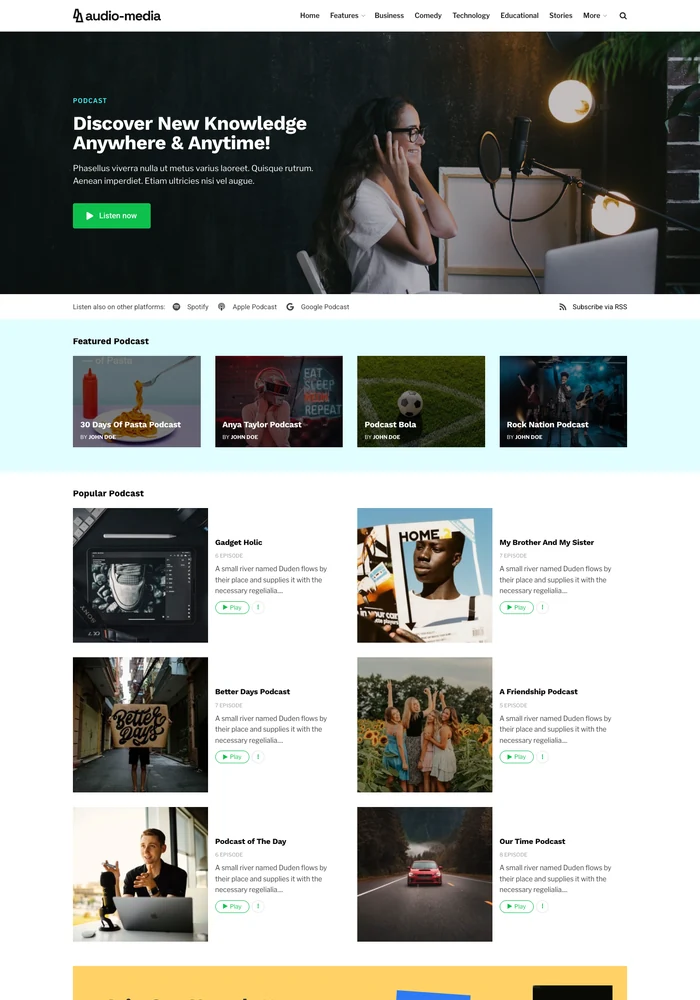 Audio-Media website preview