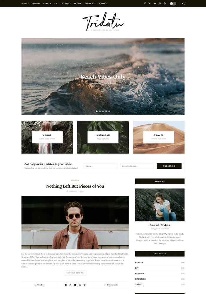 Classic Blog website preview