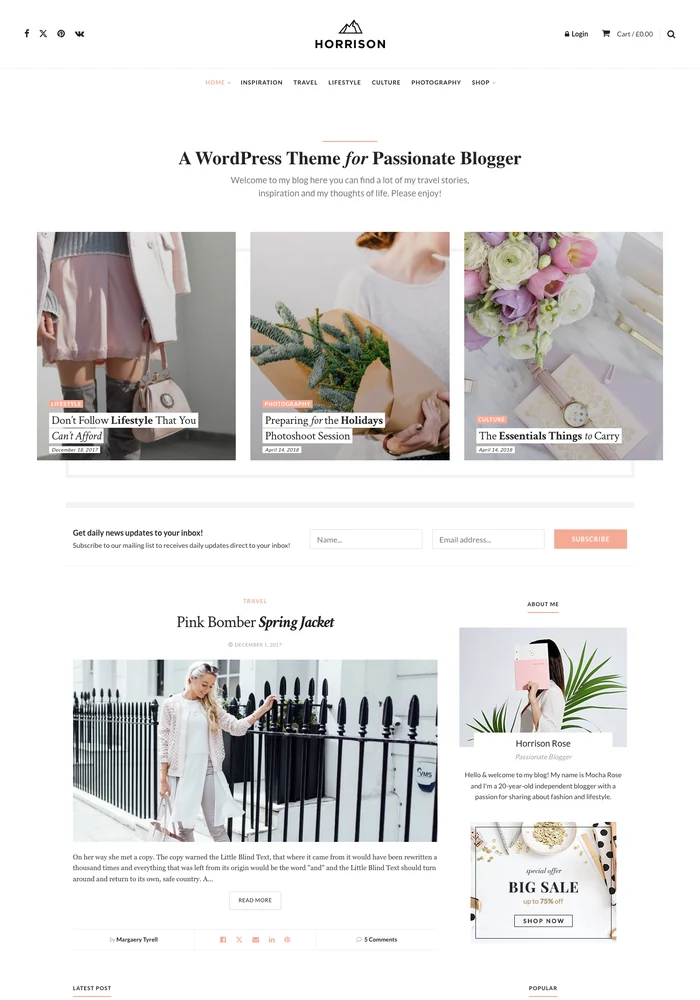 Personal Blog website preview